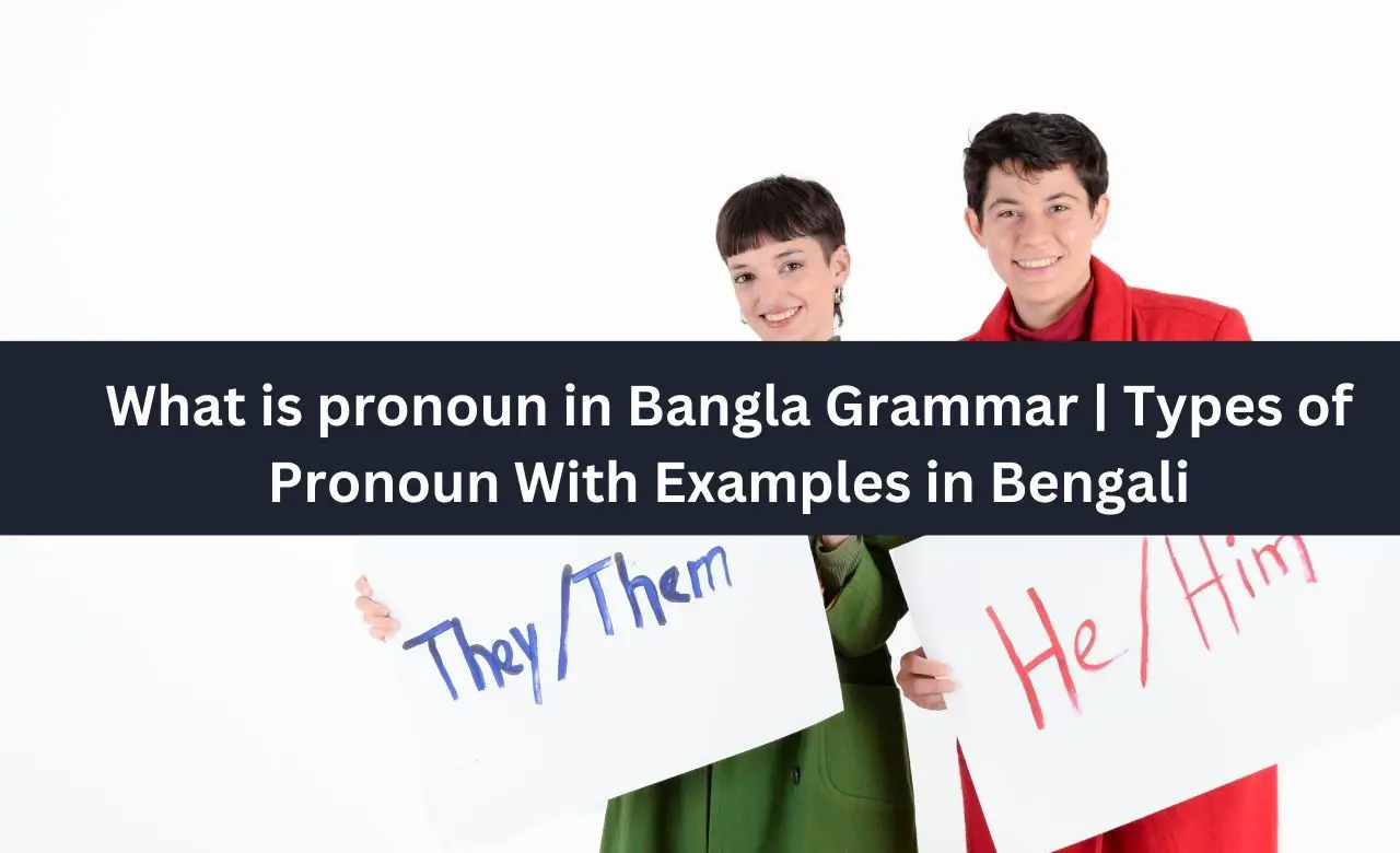 What is pronoun in Bangla Grammar Types of Pronoun With Examples in Bengali