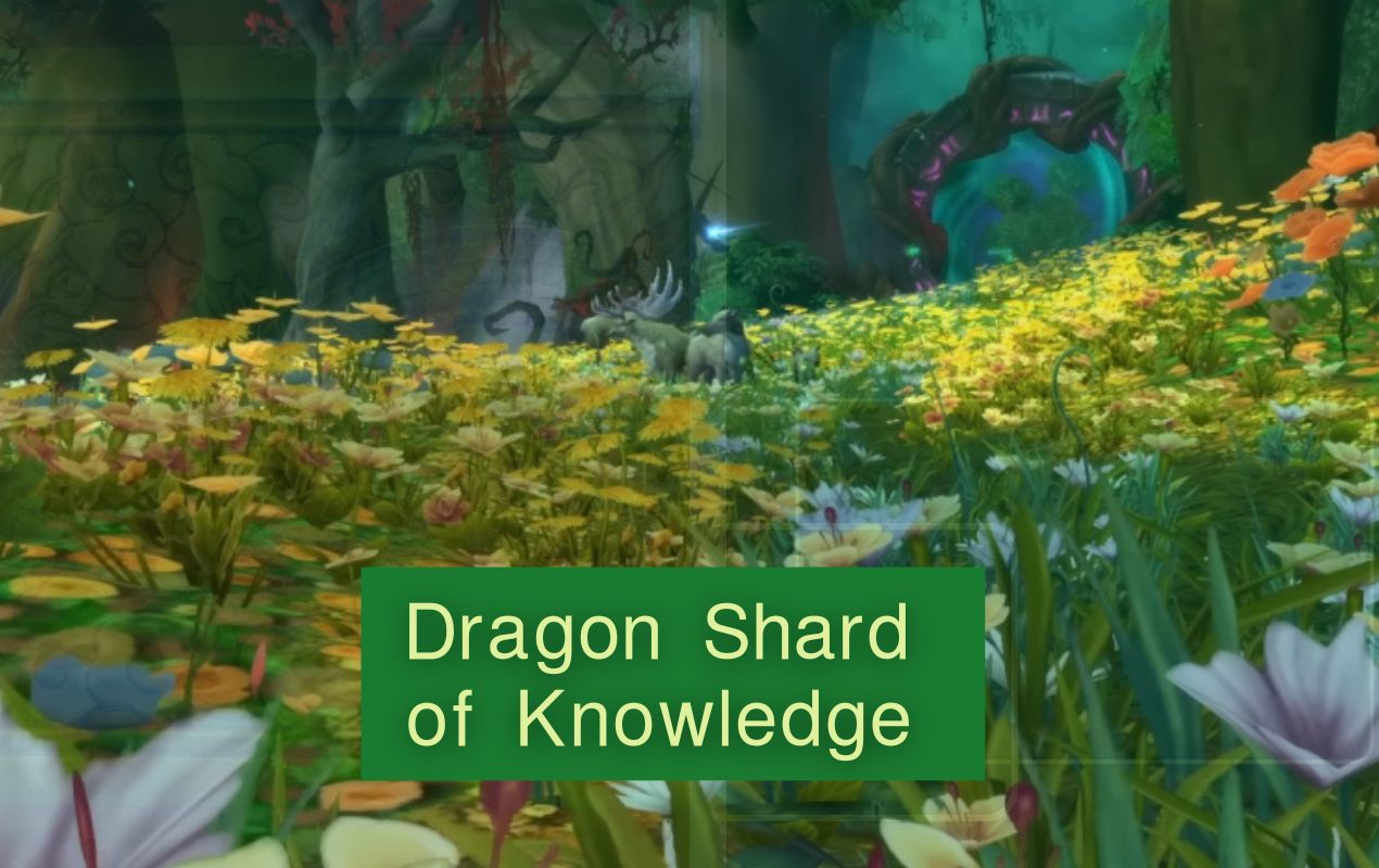 Dragon Shard of Knowledge