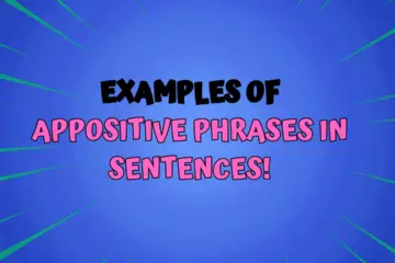 Examples of Appositive Phrases in Sentences!